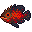 Fish tigeroscar.png