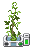 Pea plant.png
