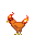 Spicy hen.png