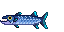 Fish barracuda.png
