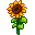 SunflowerV2.png