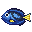 Fish bluetang.png